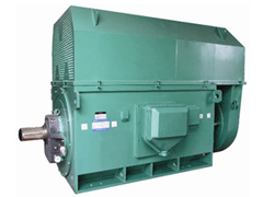 马尔康Y系列6KV高压电机
